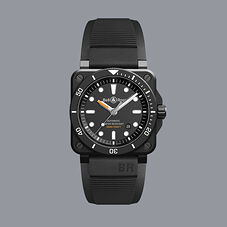 BR 03 Diver