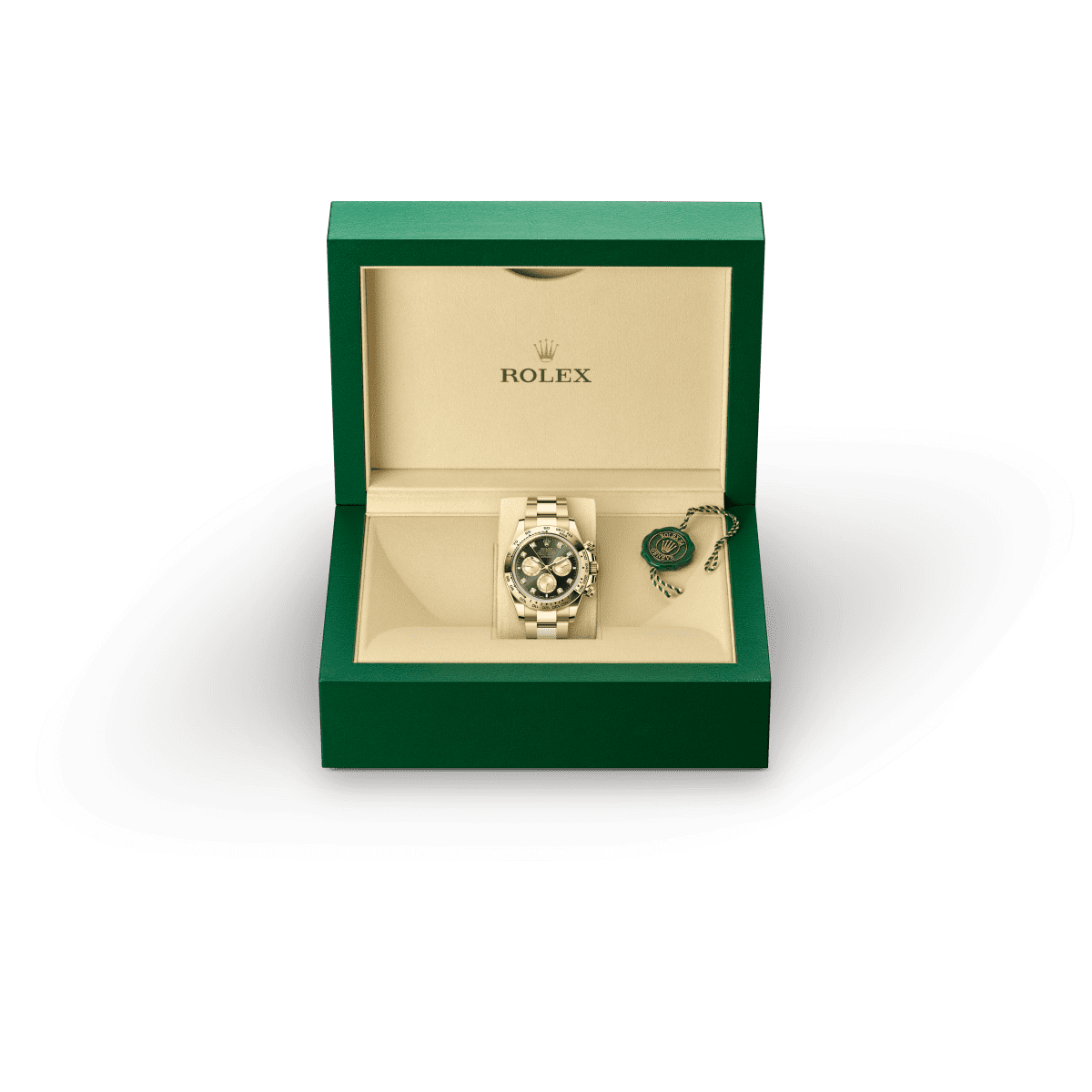 rolex-box