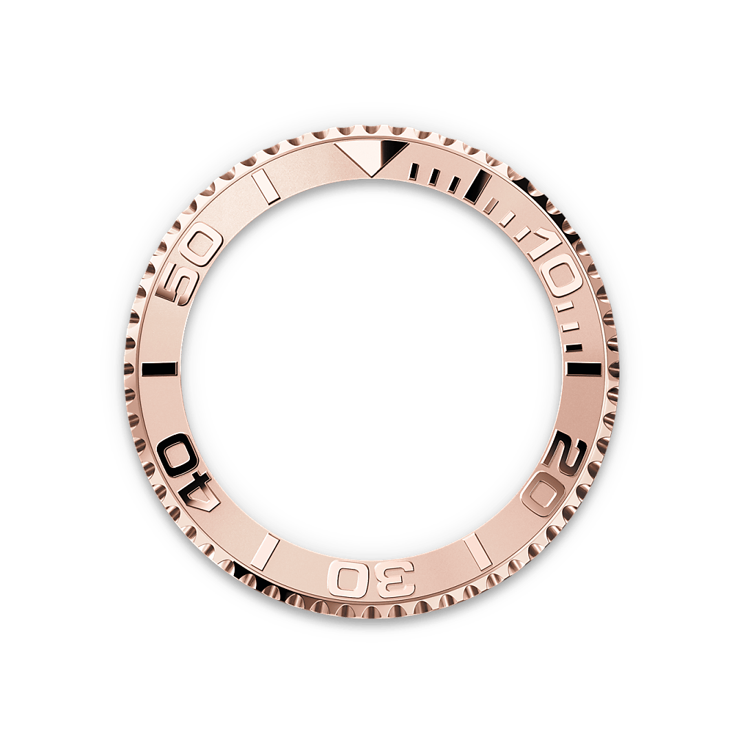 bezel