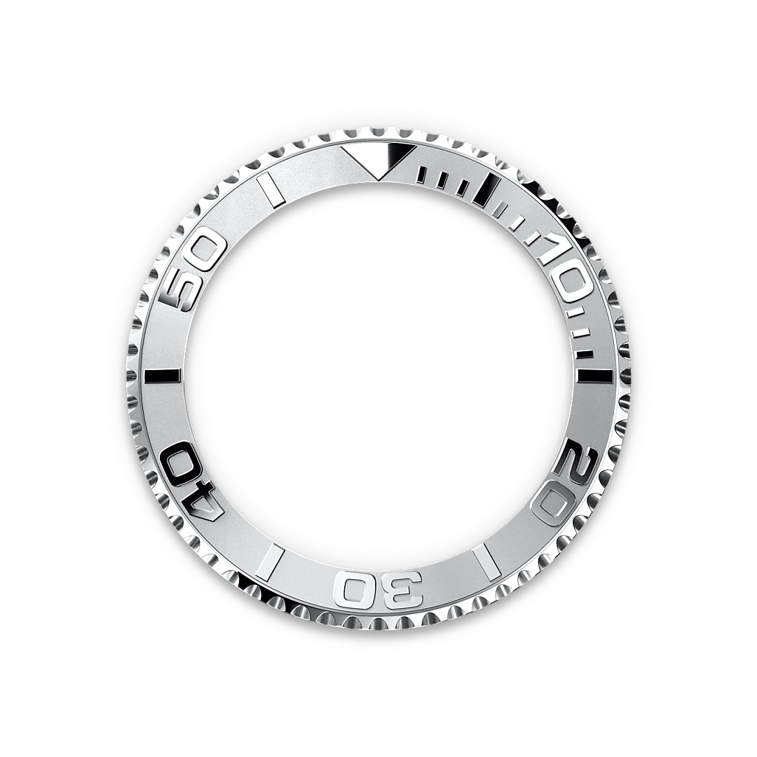 bezel