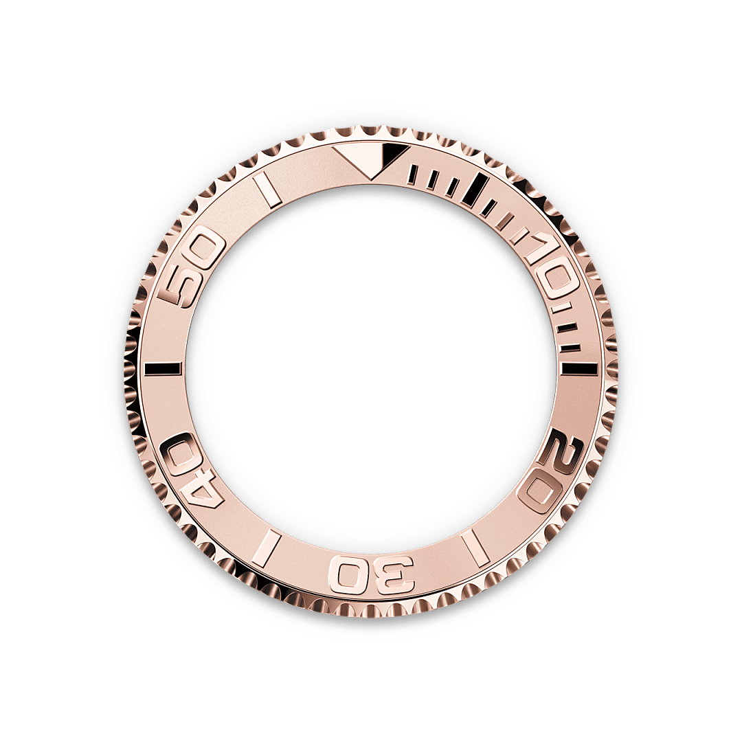 bezel