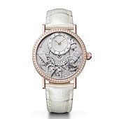 Breguet 7038BR/18/9V6 D00D