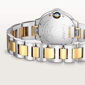 Cartier W2BB0037