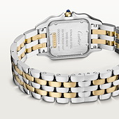 Cartier W2PN0019