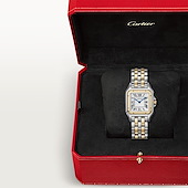 Cartier W2PN0019