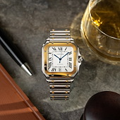 Cartier W2SA0009