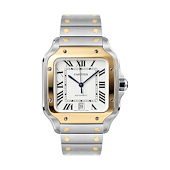 Cartier W2SA0009