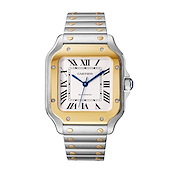 Cartier W2SA0016