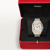 Cartier W2SA0016