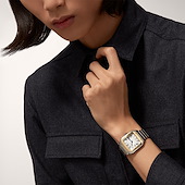 Cartier W2SA0016