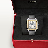 Cartier W2SA0033