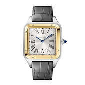 Cartier W2SA0034