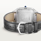 Cartier W2SA0034