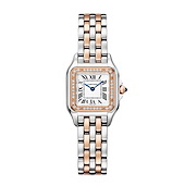 Cartier W3PN0014