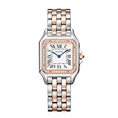 Cartier W3PN0015