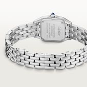 Cartier W4PN0016