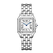 Cartier W4PN0018