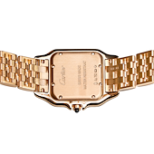 Cartier WGPN0007