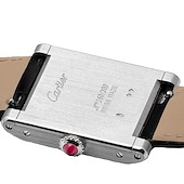 Cartier WGTA0109