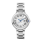 Cartier WSBB0044