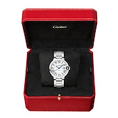 Cartier WSBB0048