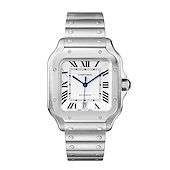Cartier WSSA0018