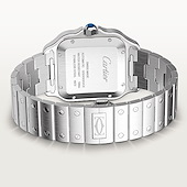 Cartier WSSA0018
