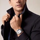 Cartier WSSA0018