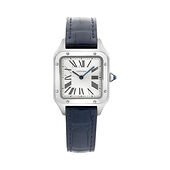 Cartier WSSA0023