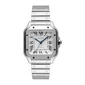 Cartier WSSA0029