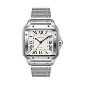 Cartier WSSA0029