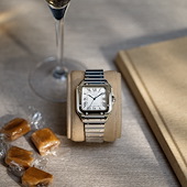 Cartier WSSA0029