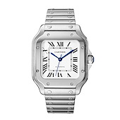 Cartier WSSA0029