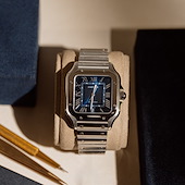 Cartier WSSA0030