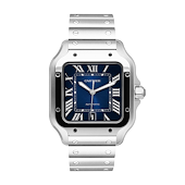 Cartier WSSA0030