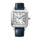 Cartier WSSA0032