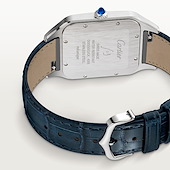 Cartier WSSA0032