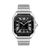 Cartier WSSA0037