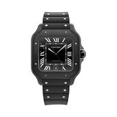 Cartier WSSA0039