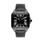 Cartier WSSA0039