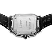 Cartier WSSA0039