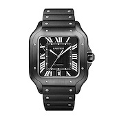Cartier WSSA0039