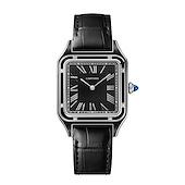 Cartier WSSA0046
