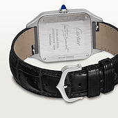 Cartier WSSA0046