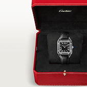 Cartier WSSA0046