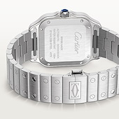 Cartier WSSA0061
