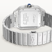 Cartier WSSA0062