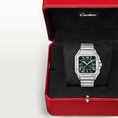 Cartier WSSA0062