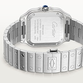 Cartier WSSA0063