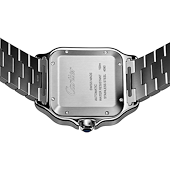 Cartier WSSA0076